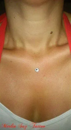 microdermal (12)