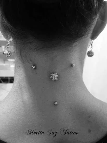 microdermal (20)